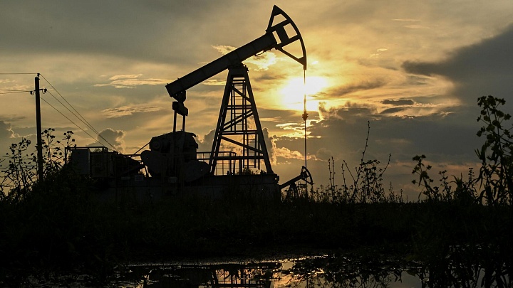 Минприроды сообщило о количестве открытых в России месторождений нефти